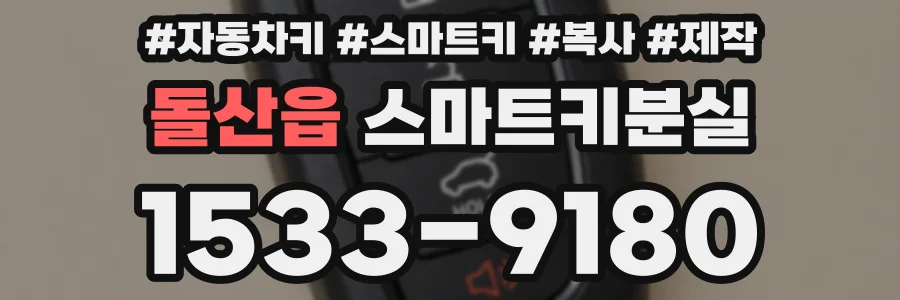 돌산읍 스마트키분실