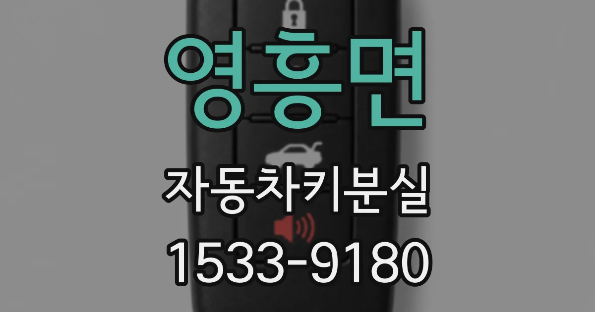 영흥면 자동차키분실