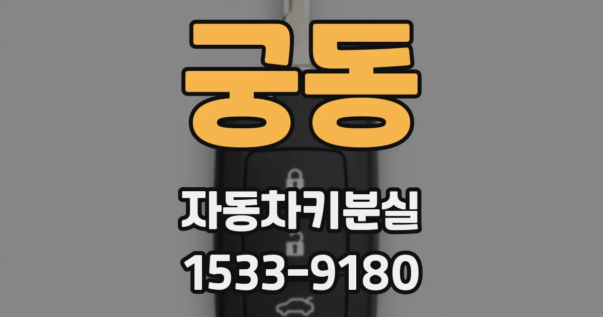 궁동 자동차키분실