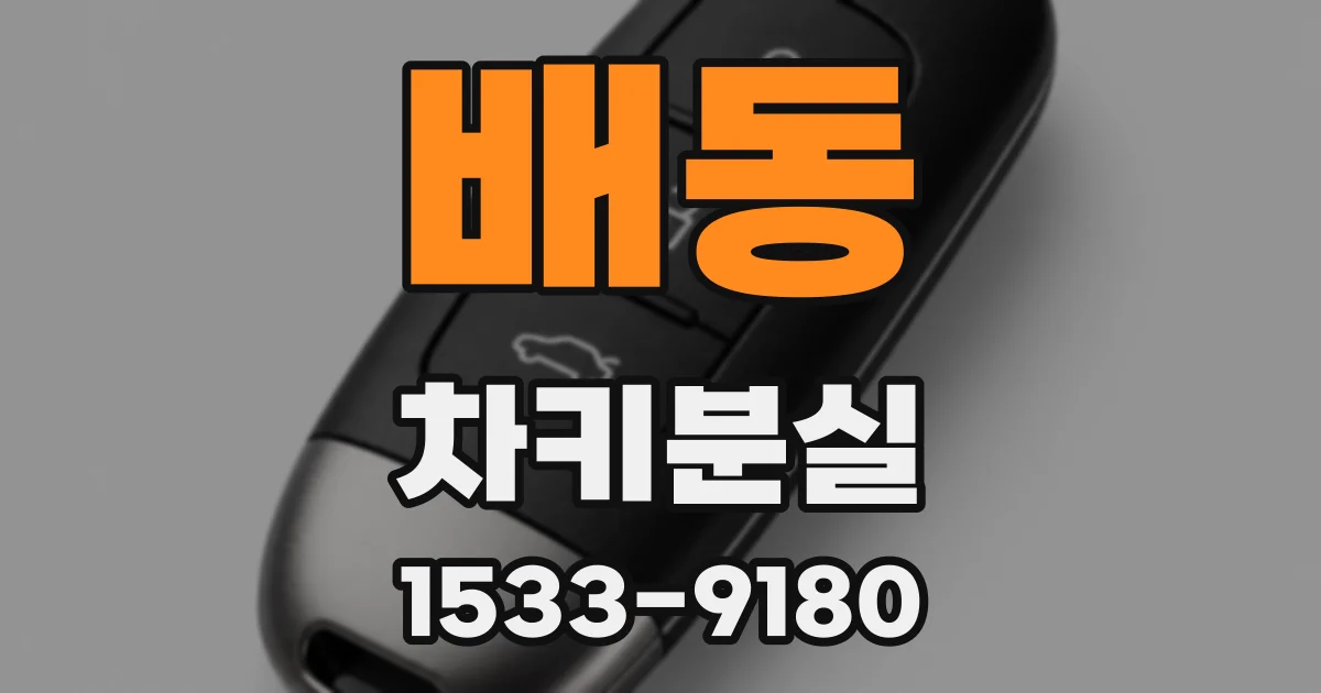 배동 차키분실