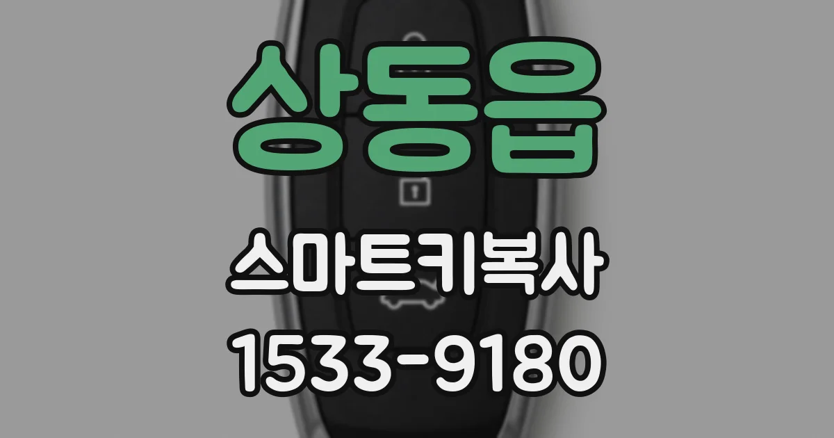 상동읍 스마트키복사