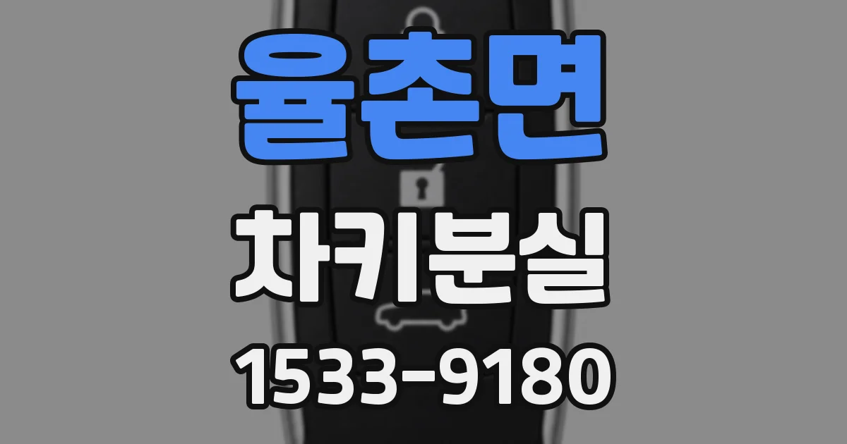 율촌면 차키분실