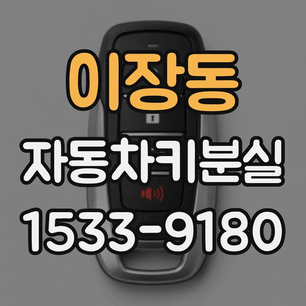 이장동 자동차키분실