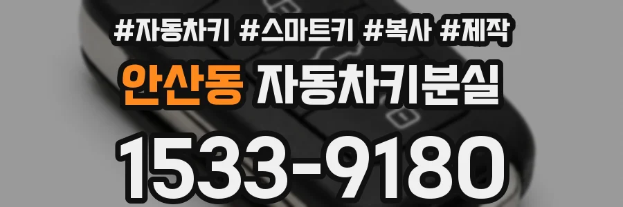 안산동 자동차키분실