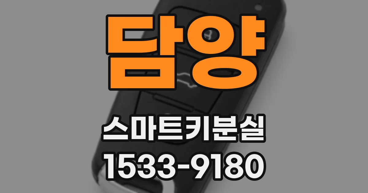 담양 스마트키분실