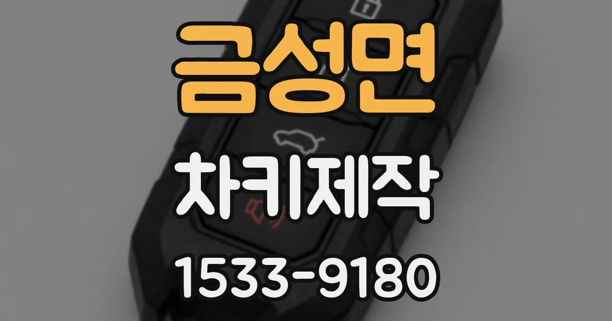 금성면 차키제작