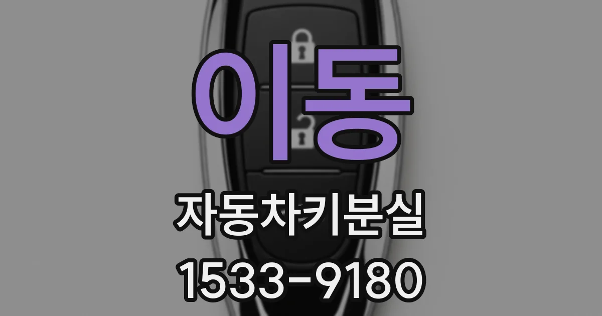 이동 자동차키분실