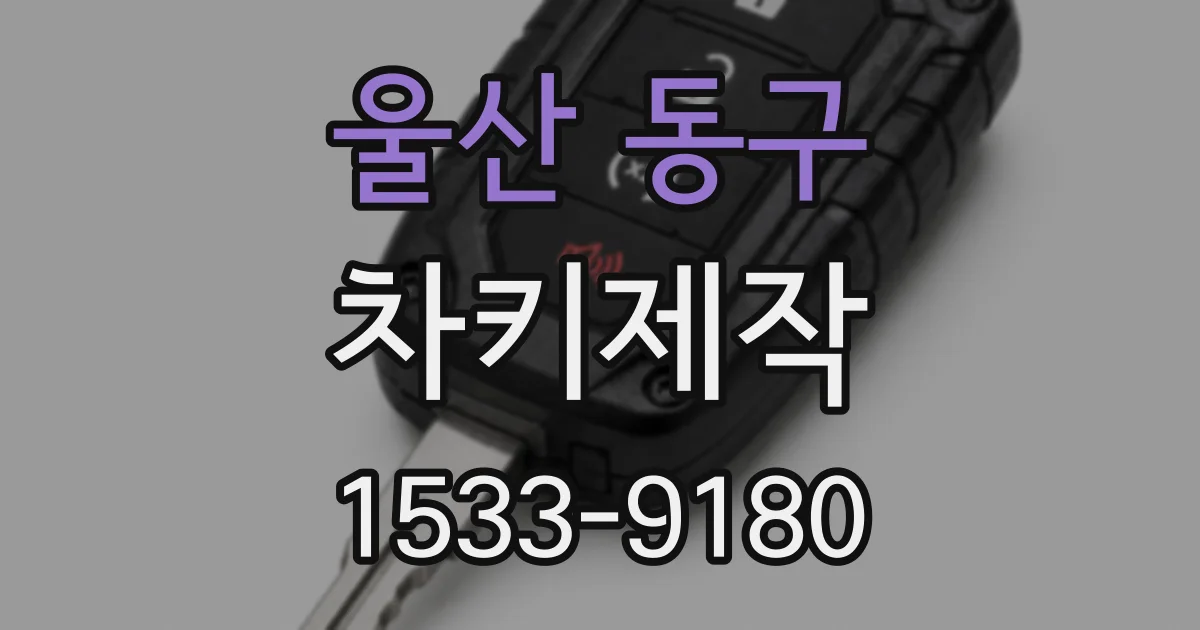 울산 동구 차키제작