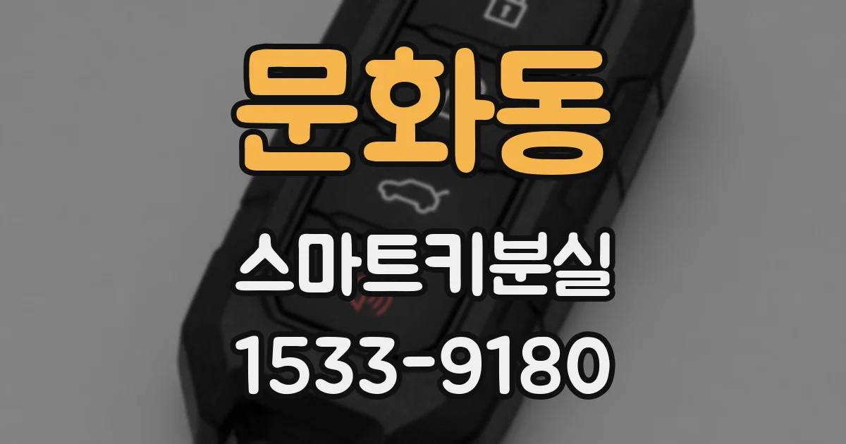 문화동 스마트키분실