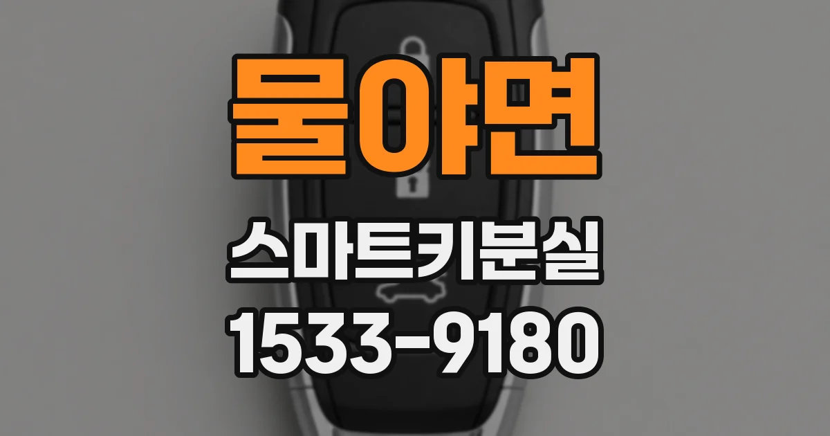 물야면 스마트키분실