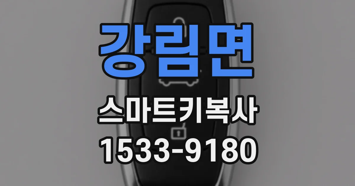 강림면 스마트키복사