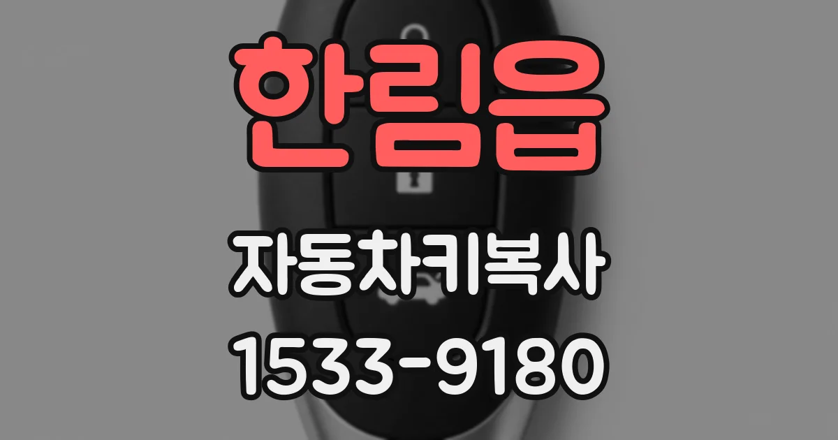 한림읍 자동차키복사