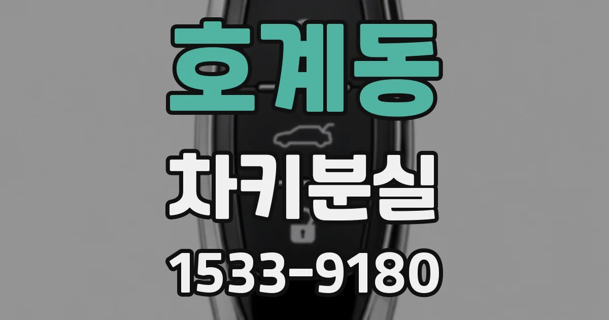 호계동 차키분실