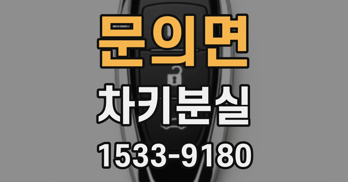 문의면 차키분실