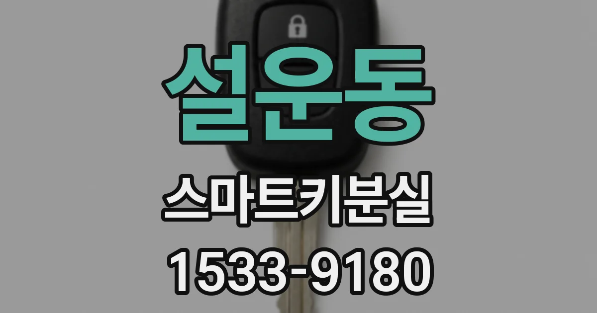 설운동 스마트키분실