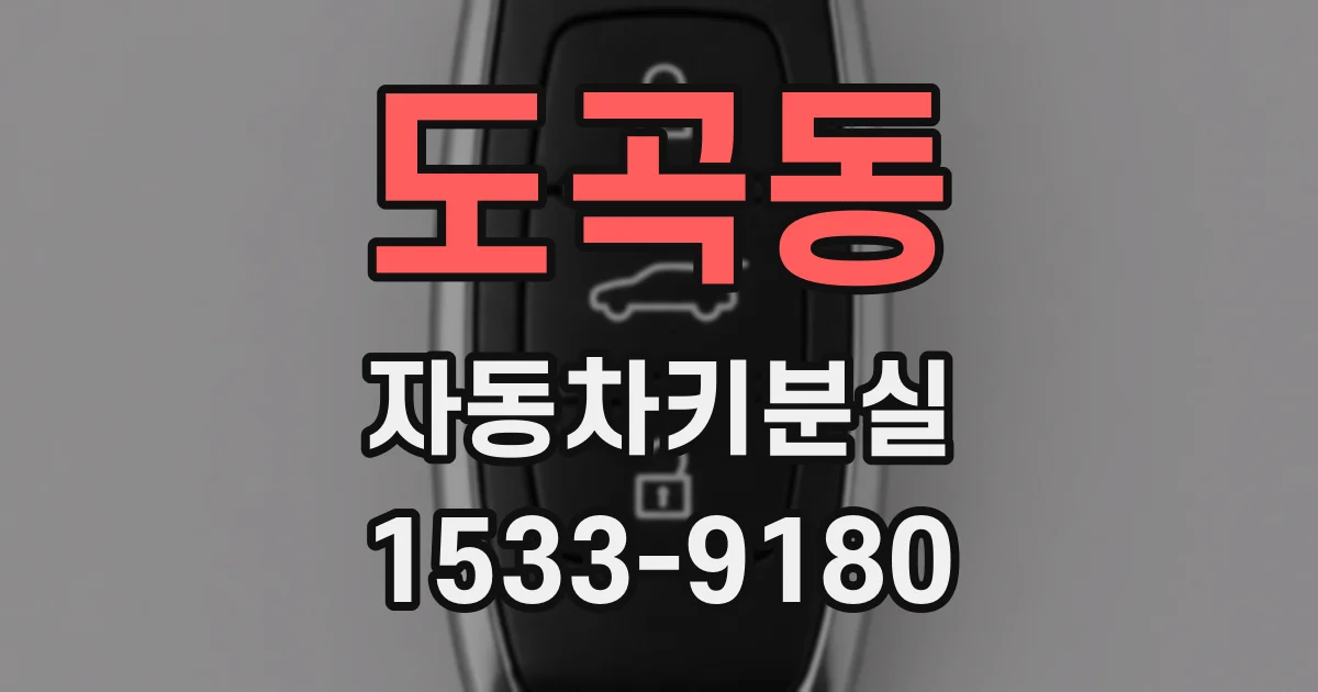 도곡동 자동차키분실