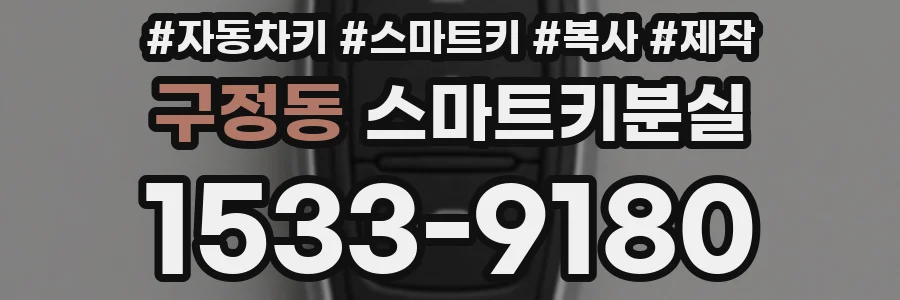 구정동 스마트키분실