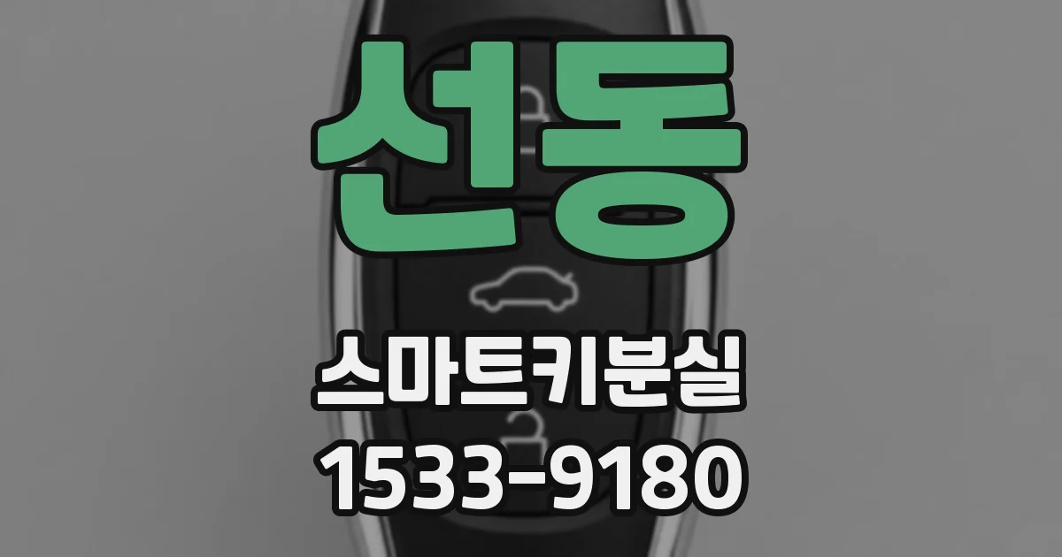 선동 스마트키분실