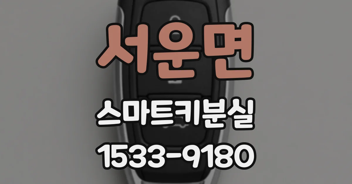 서운면 스마트키분실