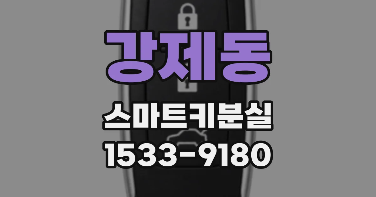 강제동 스마트키분실