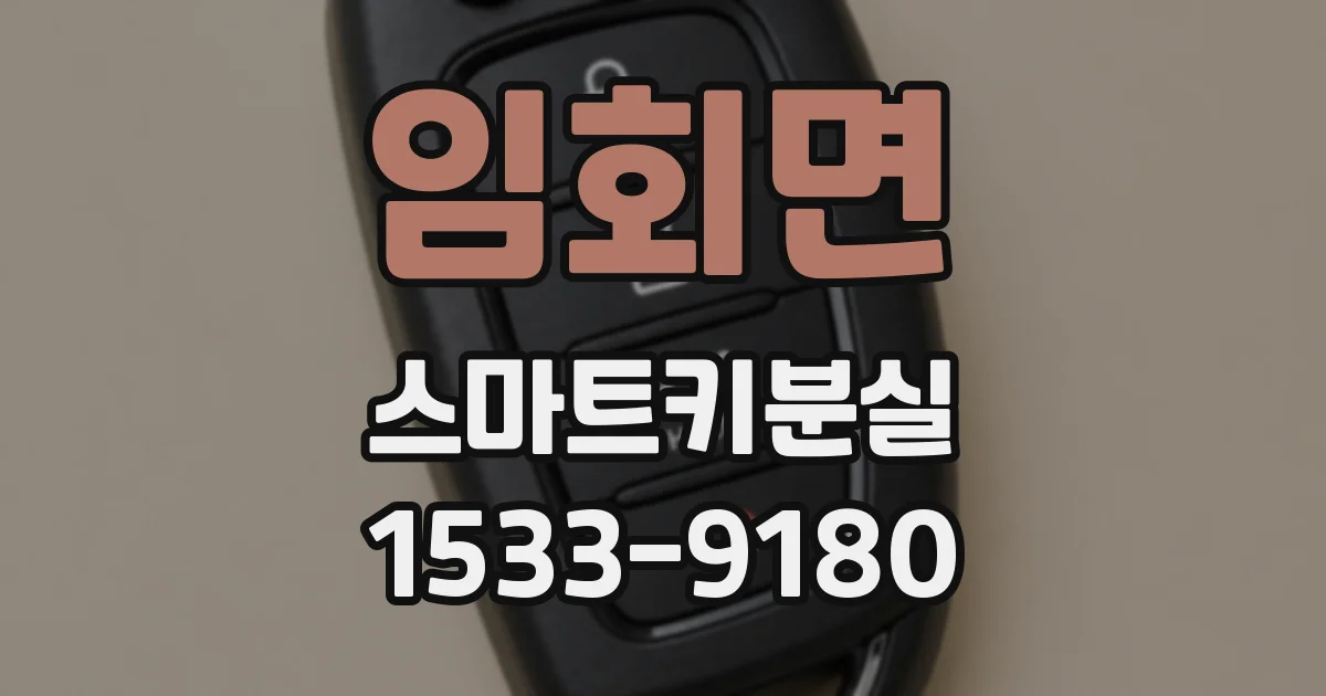 임회면 스마트키분실