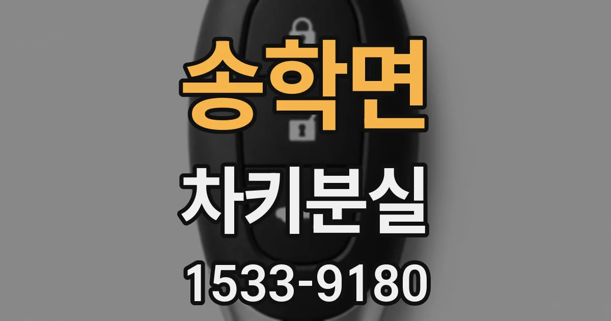 송학면 차키분실