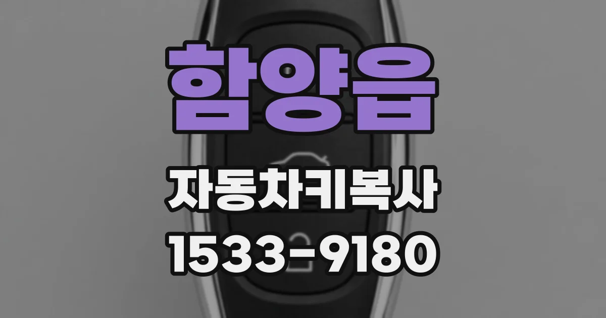 함양읍 자동차키복사