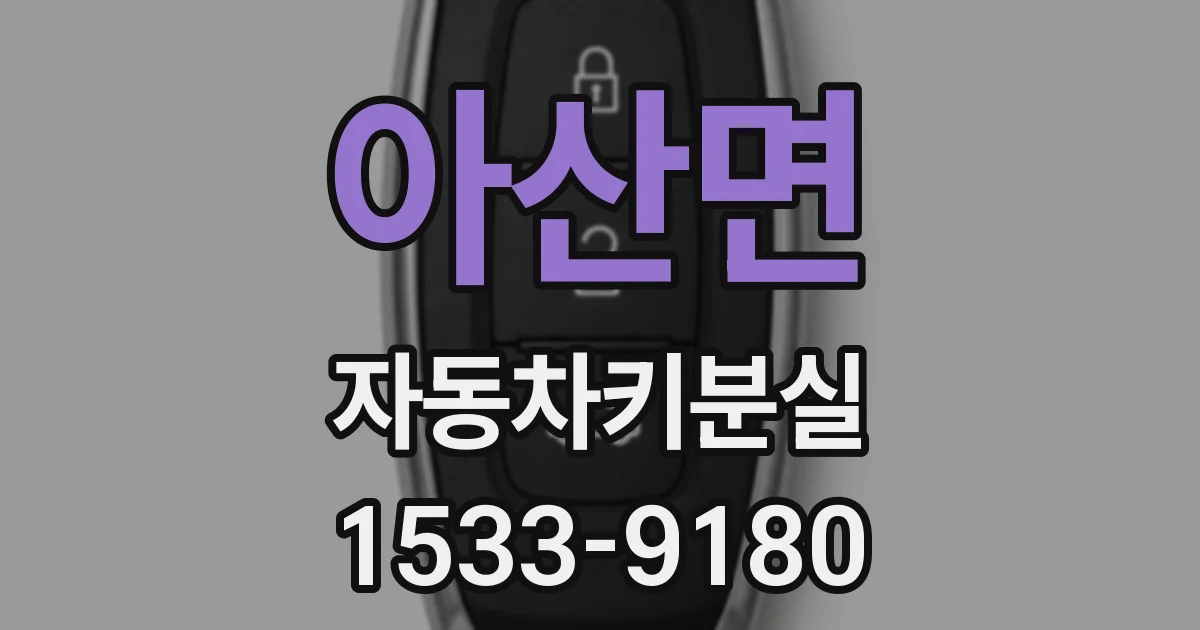 아산면 자동차키분실