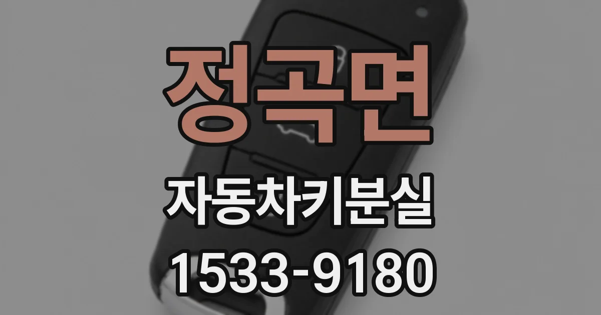 정곡면 자동차키분실