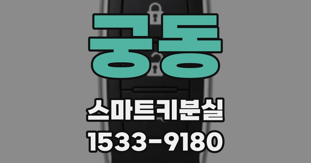 궁동 스마트키분실