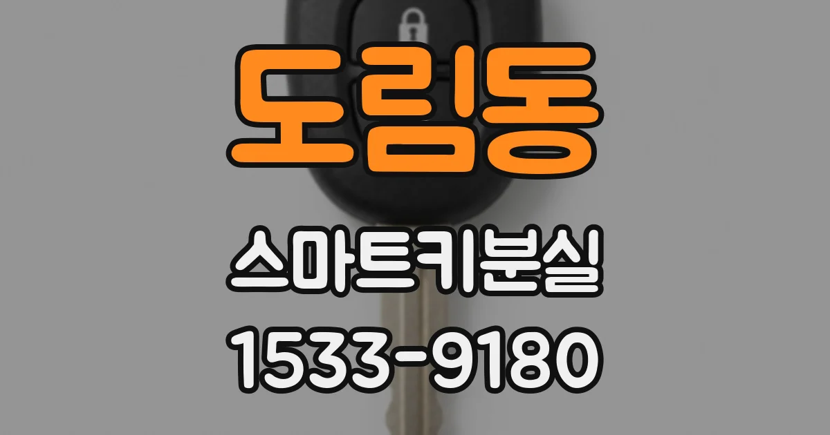도림동 스마트키분실