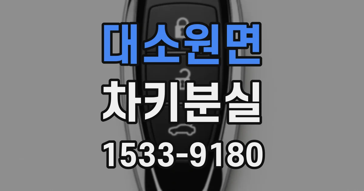 대소원면 차키분실