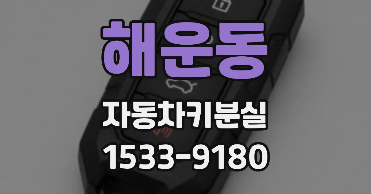 해운동 자동차키분실