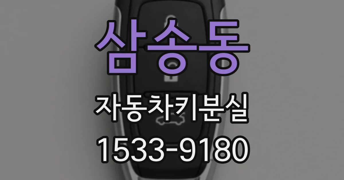 삼송동 자동차키분실