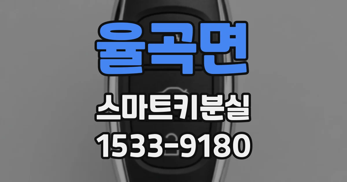 율곡면 스마트키분실