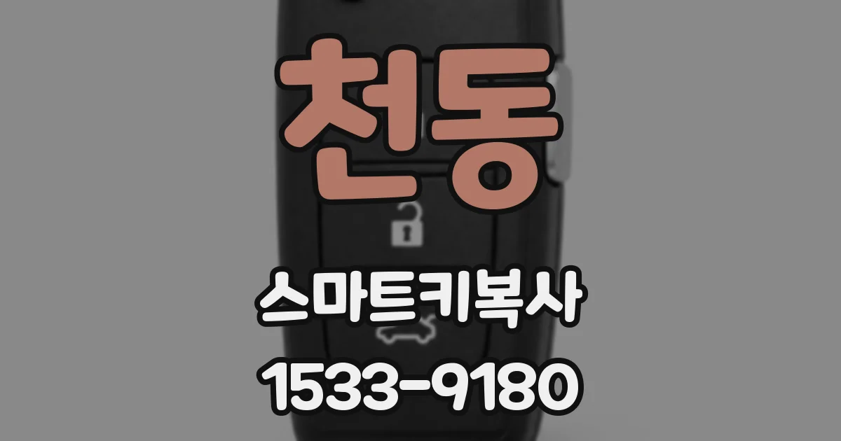 천동 스마트키복사
