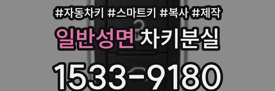 일반성면 차키분실