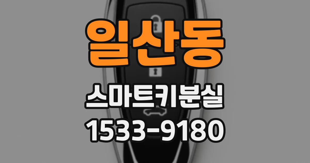일산동 스마트키분실
