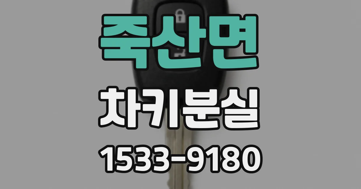 죽산면 차키분실