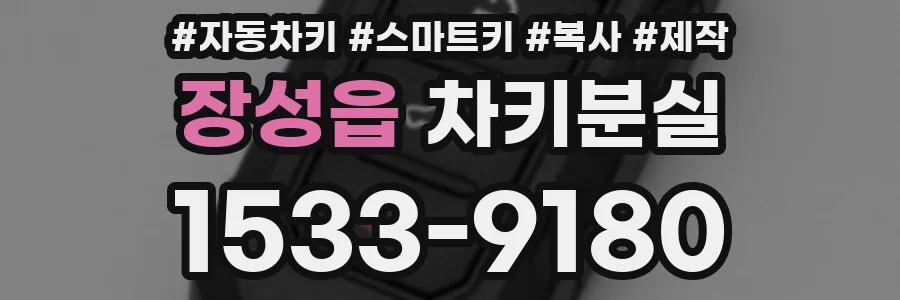 장성읍 차키분실