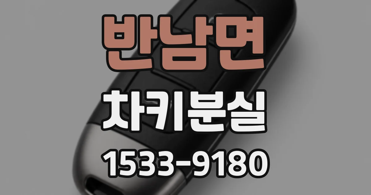 반남면 차키분실