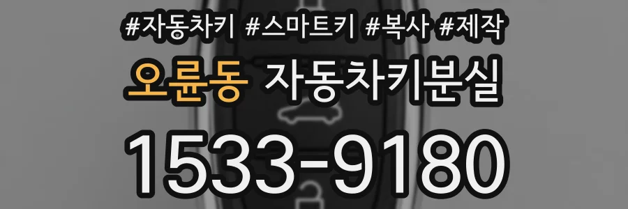 오륜동 자동차키분실