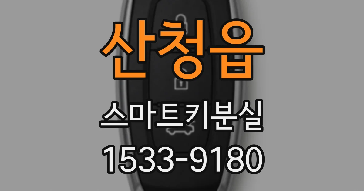 산청읍 스마트키분실
