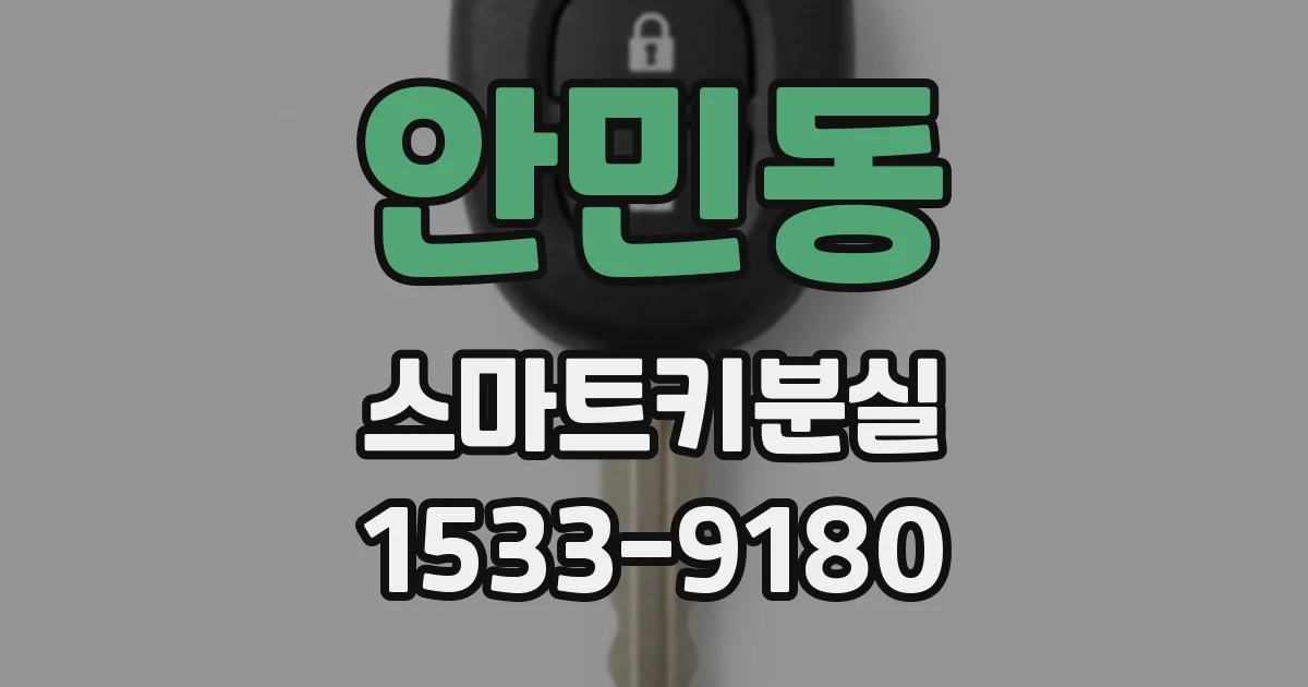 안민동 스마트키분실