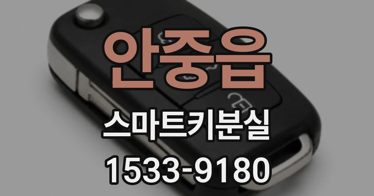 안중읍 스마트키분실