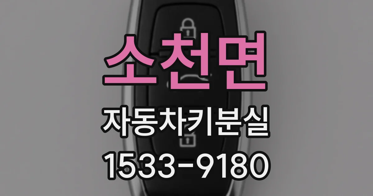 소천면 자동차키분실