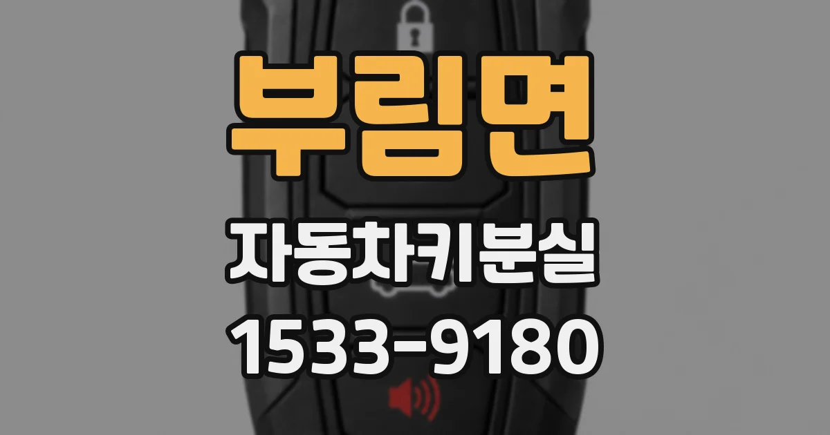 부림면 자동차키분실