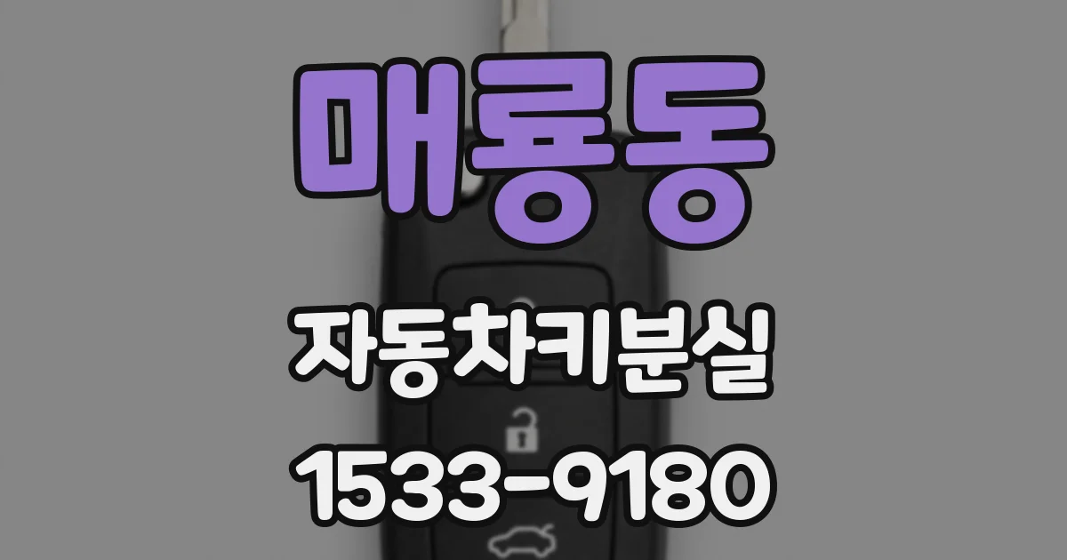 매룡동 자동차키분실