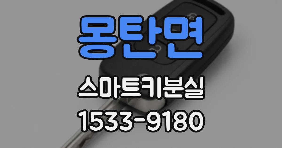 몽탄면 스마트키분실
