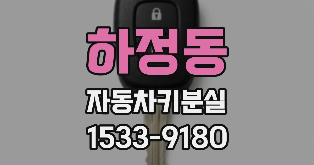 하정동 자동차키분실